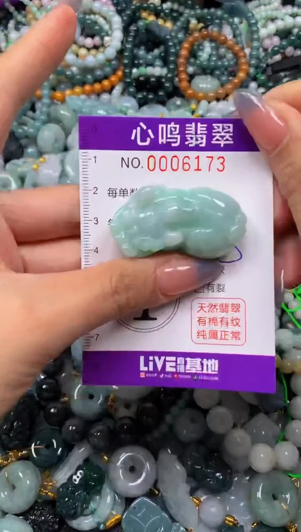 颈饰未镶嵌翡翠闪购006173