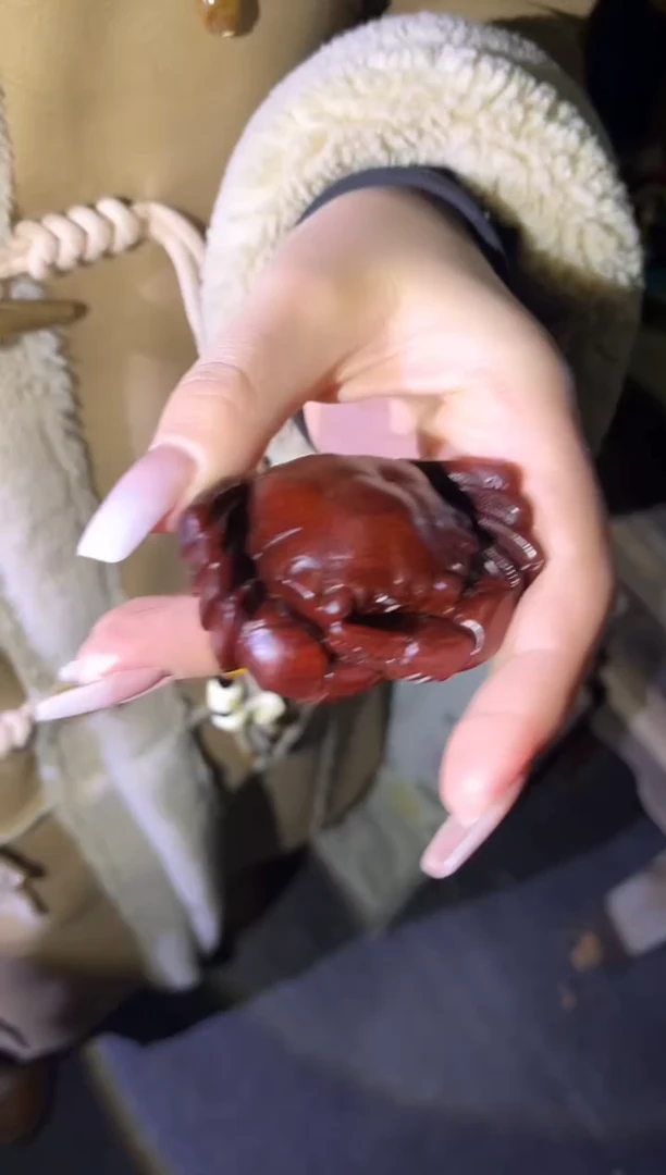 【闪购商品】香榧木13咚咚咚咚咚咚咚咚