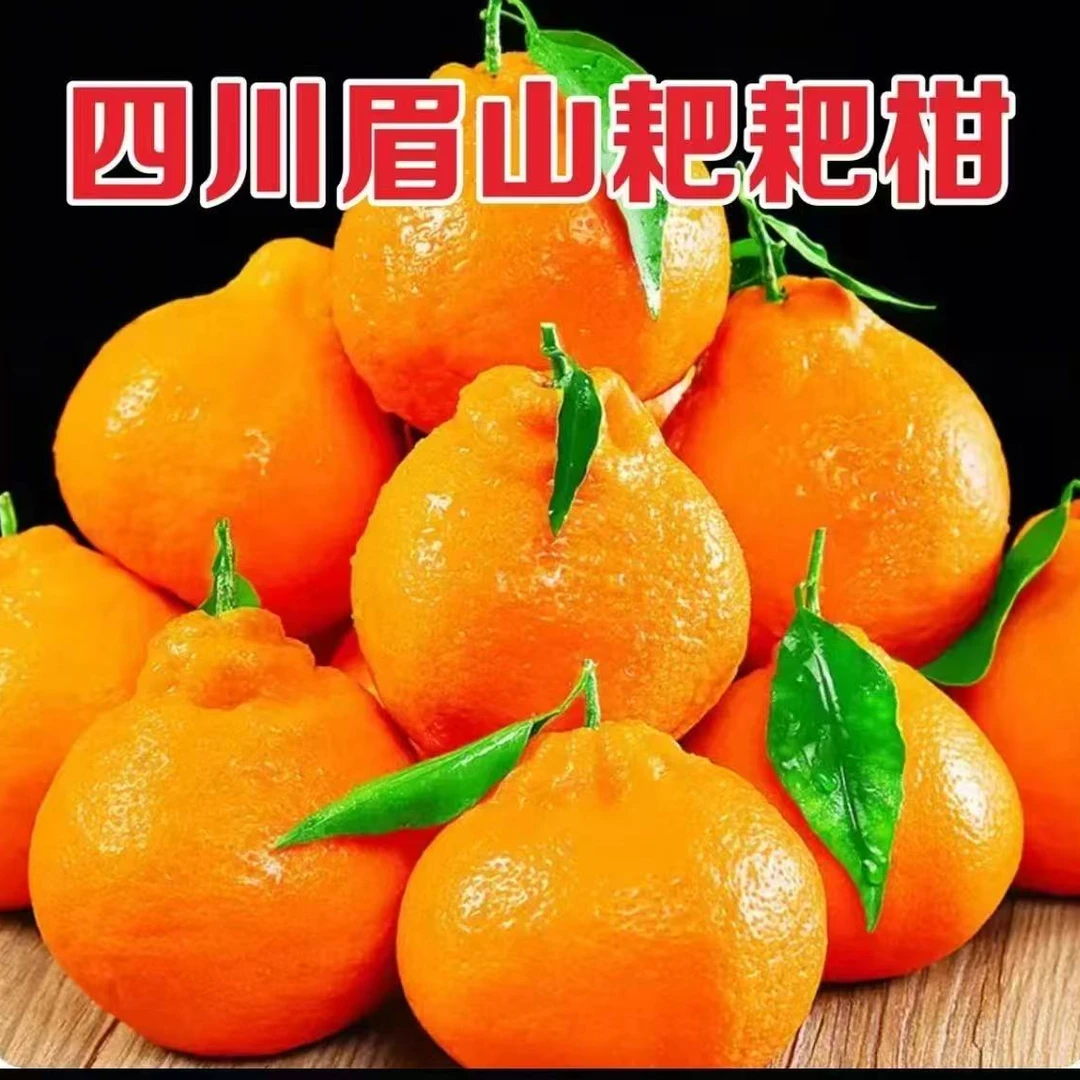 正宗四川春见耙耙柑，自然成熟89分甜一两分酸，吃得放心
