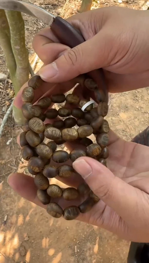 【闪购商品】沉香沉香碎屑陆河留疤单圈 多样性发一