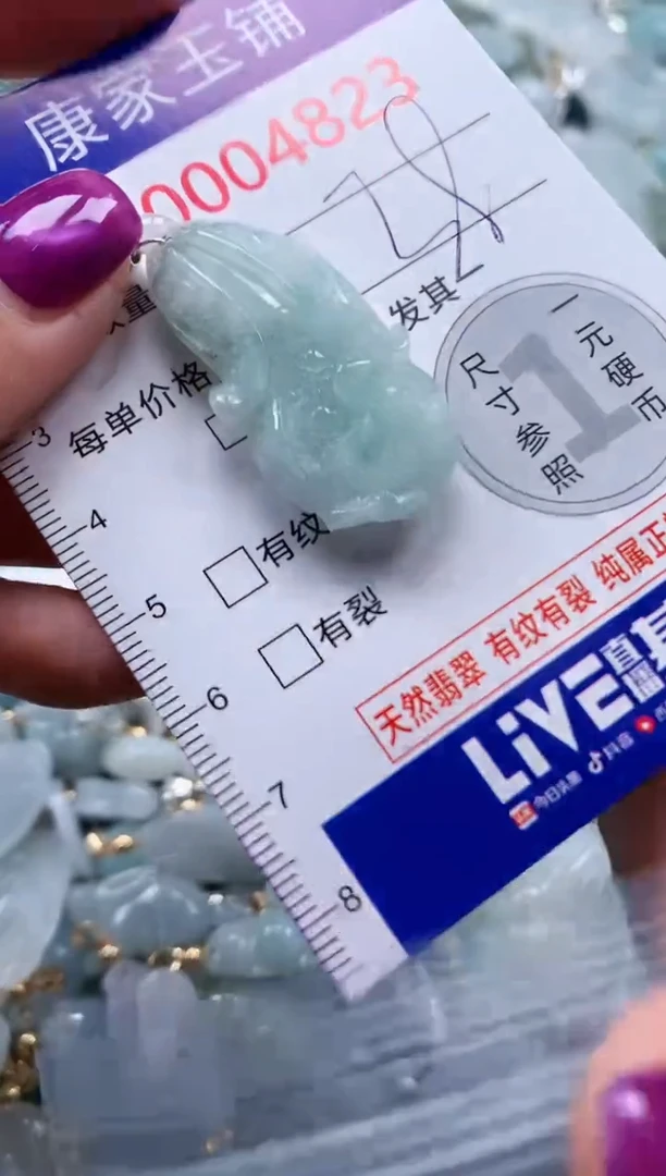 颈饰未镶嵌翡翠4823