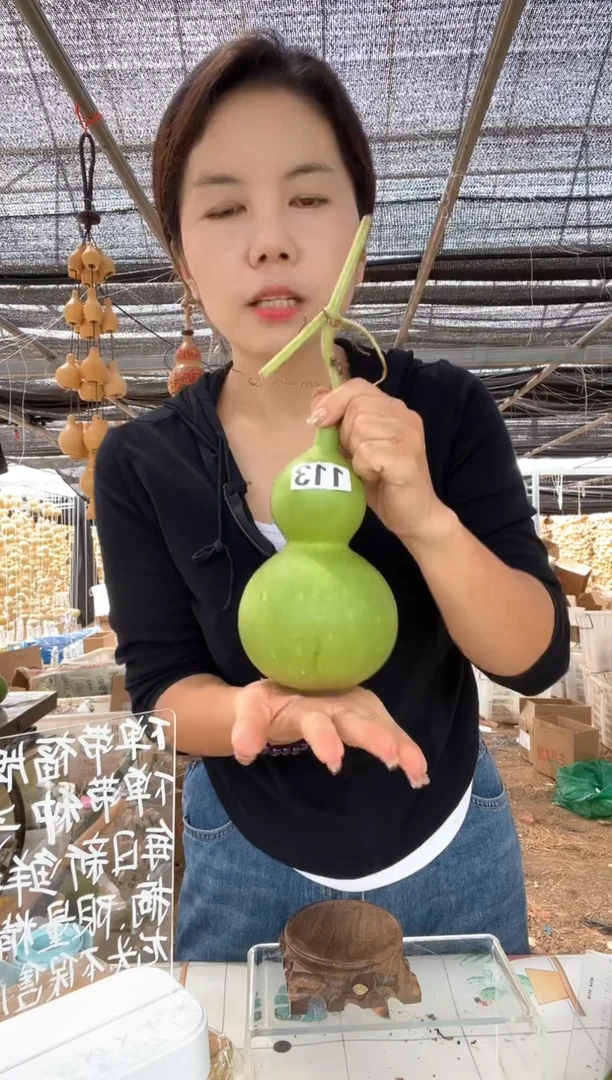 113天然葫芦摆件 一物一拍龙头不保售后