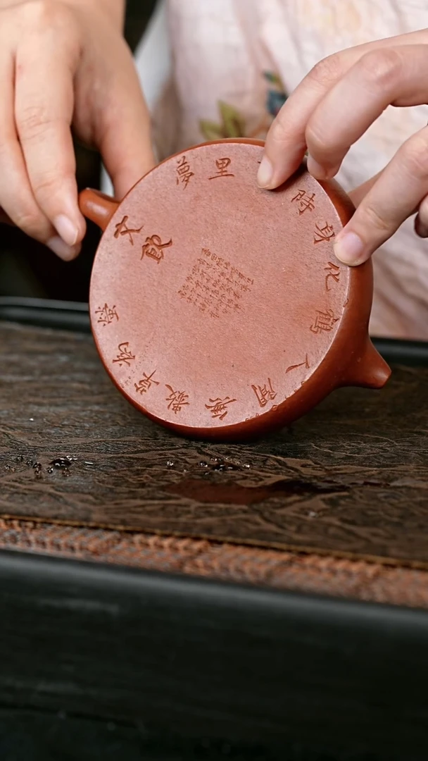 茶壶紫砂陶刻款无尘壶 一物见春