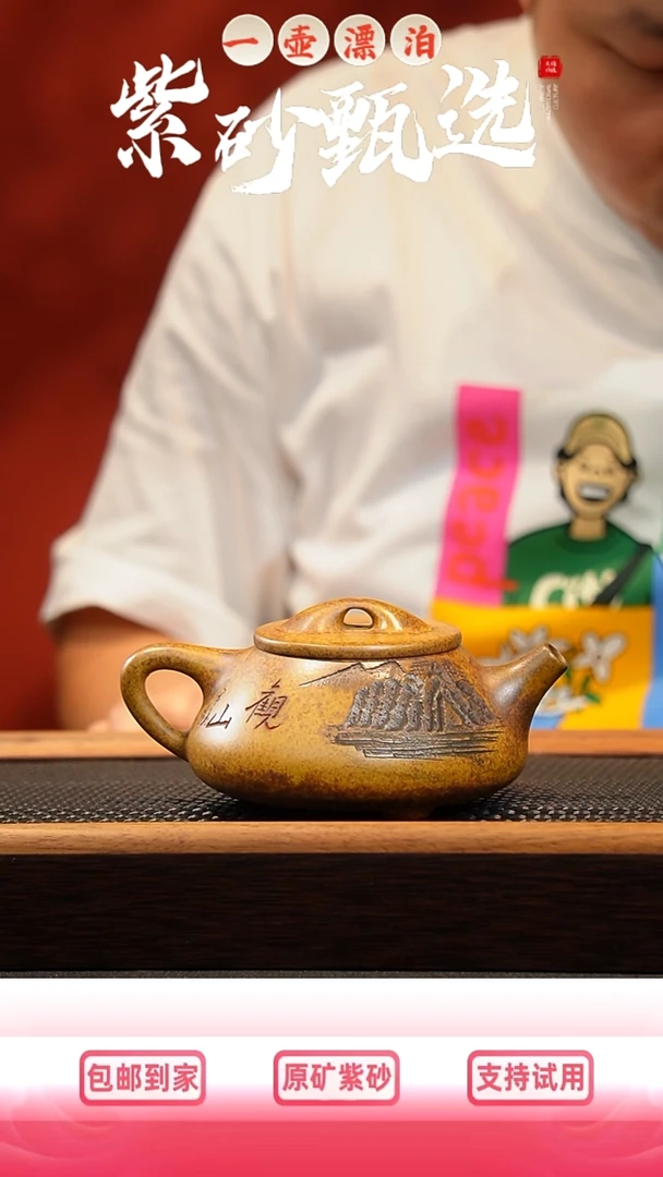 茶壶紫砂 一壶漂泊紫砂茶器3023