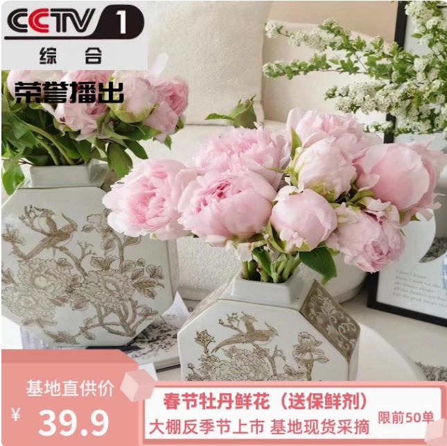 【雪映桃花】国色芳华同款-怀袖香 重瓣菏泽春节花束鲜切花家庭基地