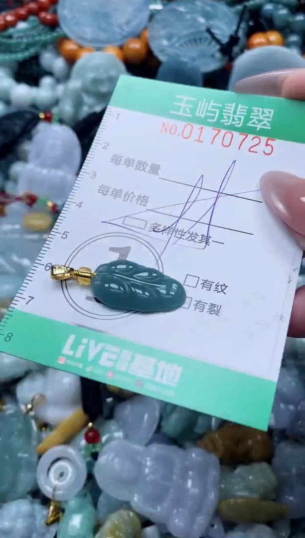 翡翠未镶嵌颈饰闪购0170725多样性发其一
