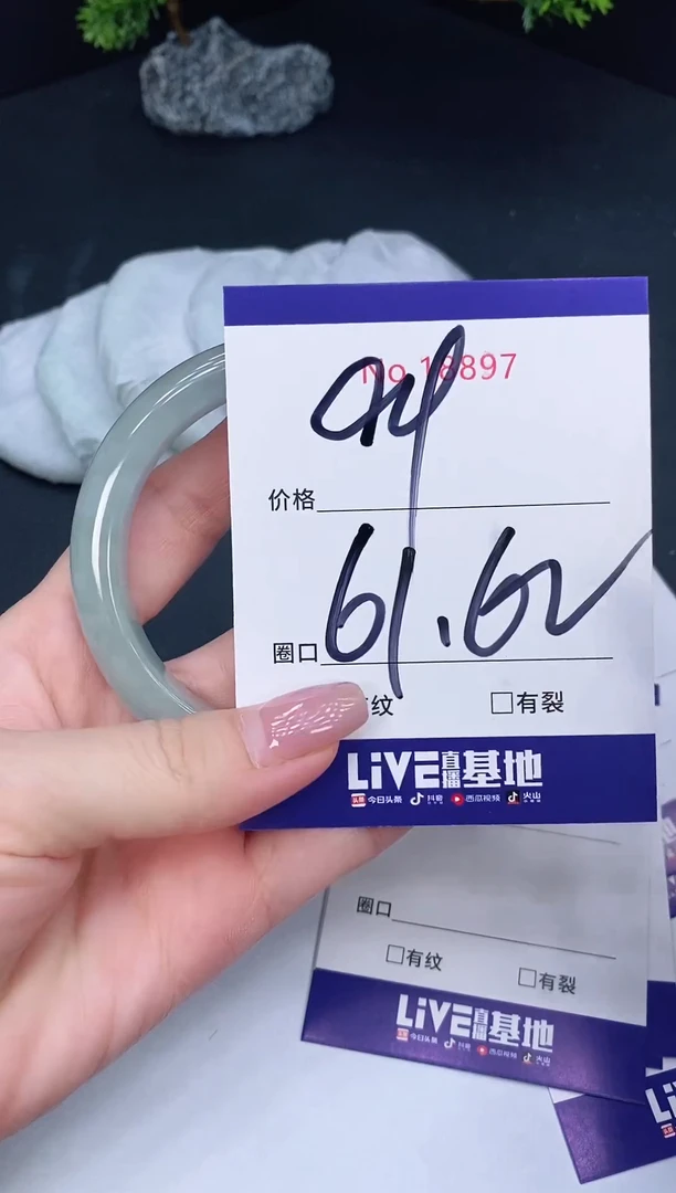 未镶嵌手镯翡翠18897