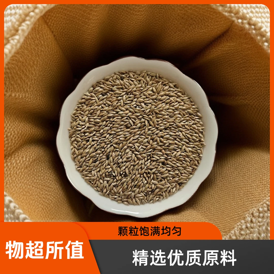 精品白尖加纳利子单品鸟粮种子宠物粮