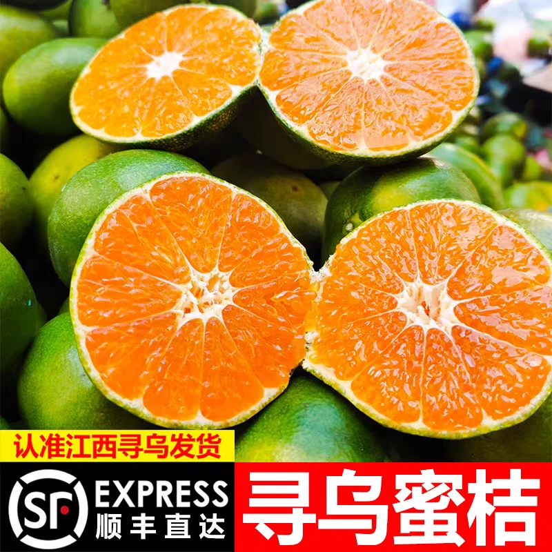 【顺丰包邮】赣南寻乌蜜橘青皮无籽蜜橘新鲜应季水果酸甜多汁