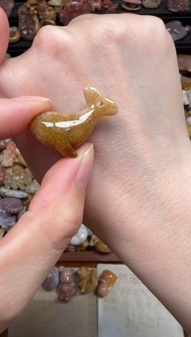 颈饰未镶嵌硅化珊瑚（珊瑚玉）405