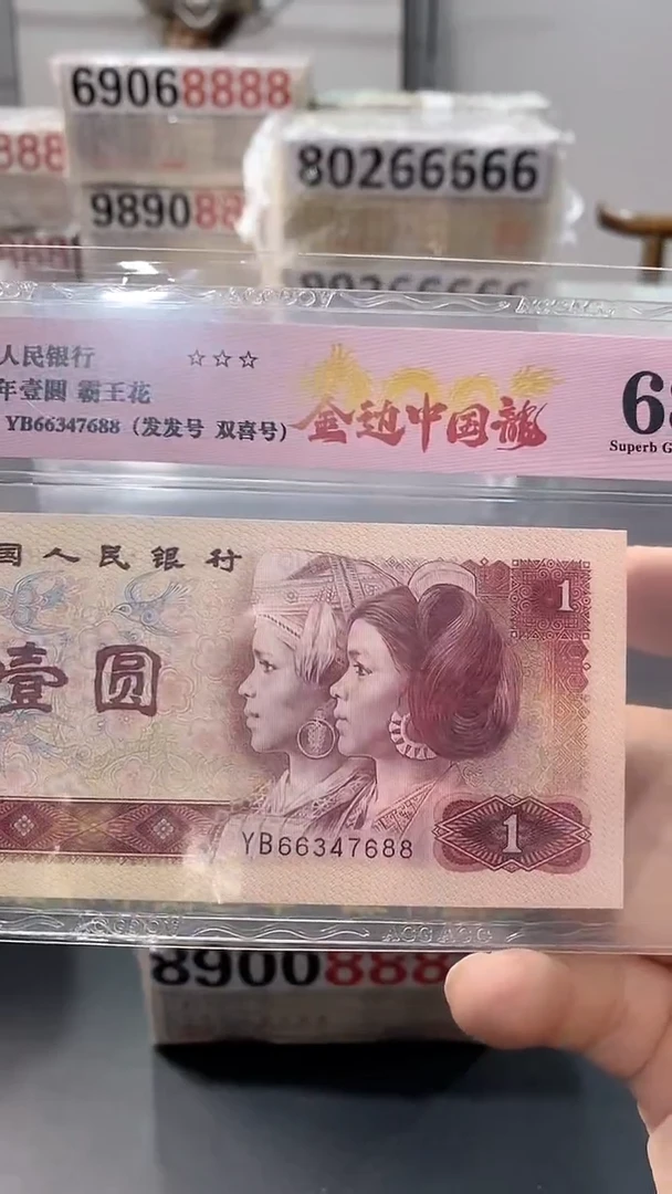 801金边中国龙YB66347688