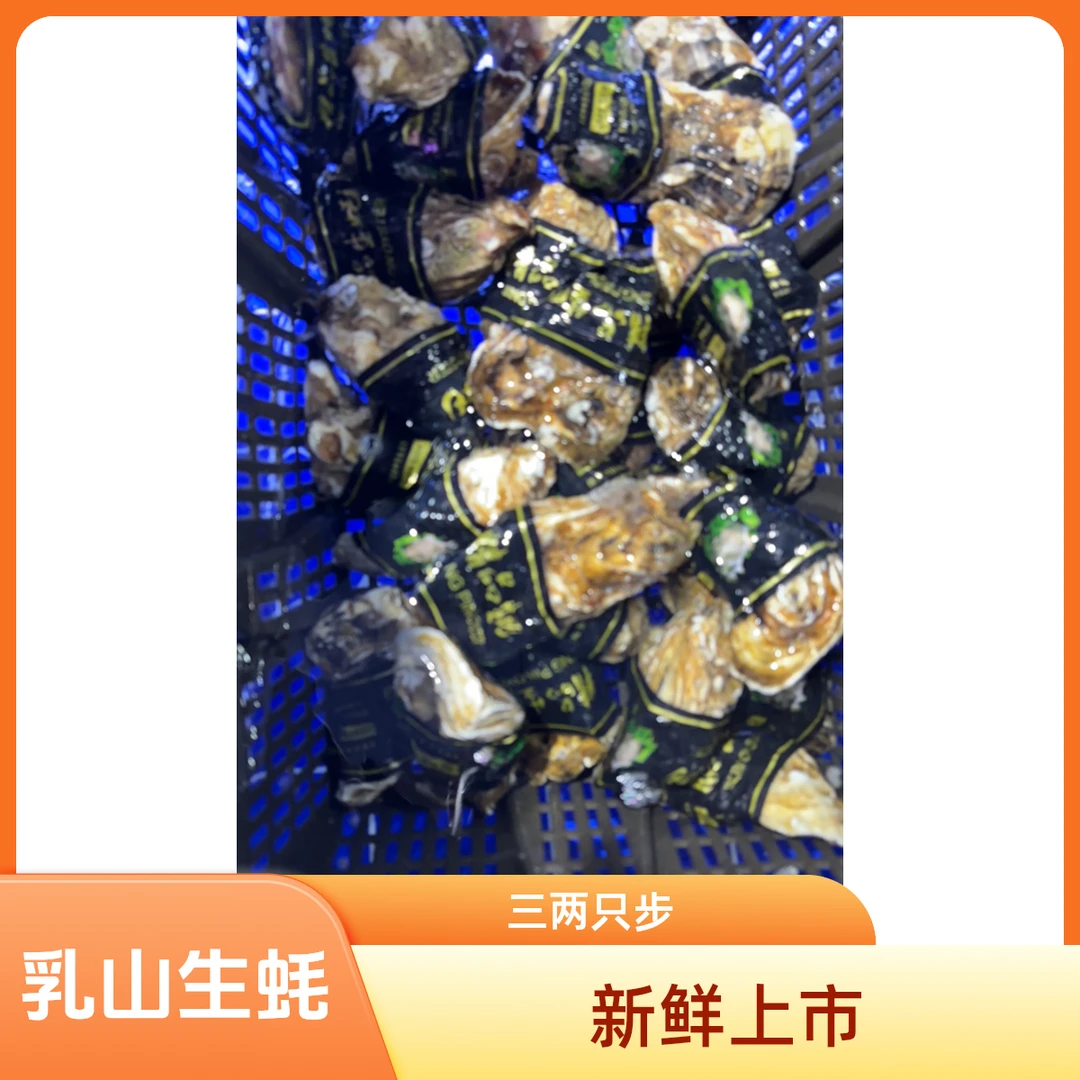 乳山生蚝 28.8到手15个 规格三两左右一只约100克