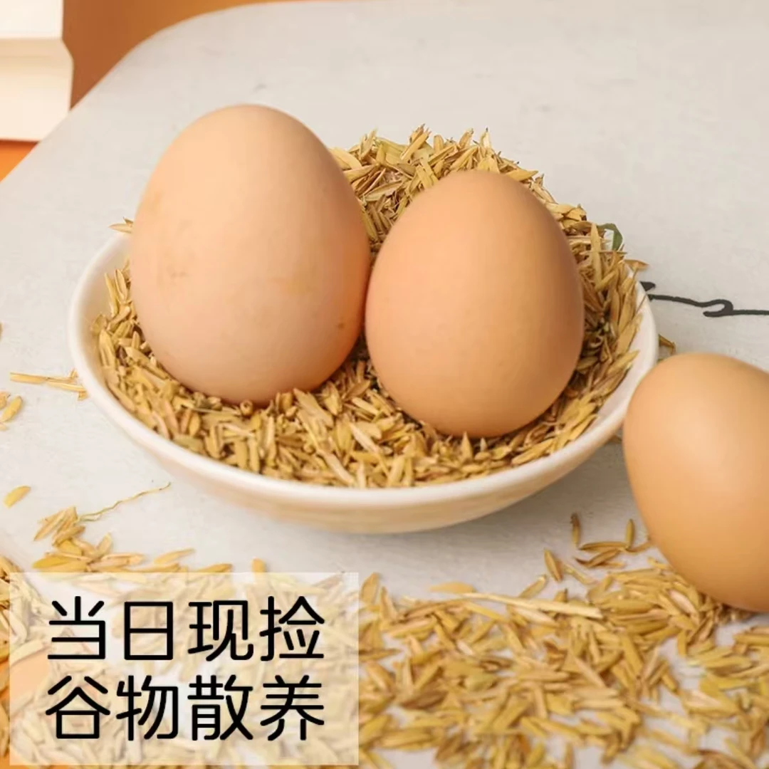 土地娃【直播间】土鸡蛋50枚农家散养虫草蛋山林柴鸡蛋45-50g/个