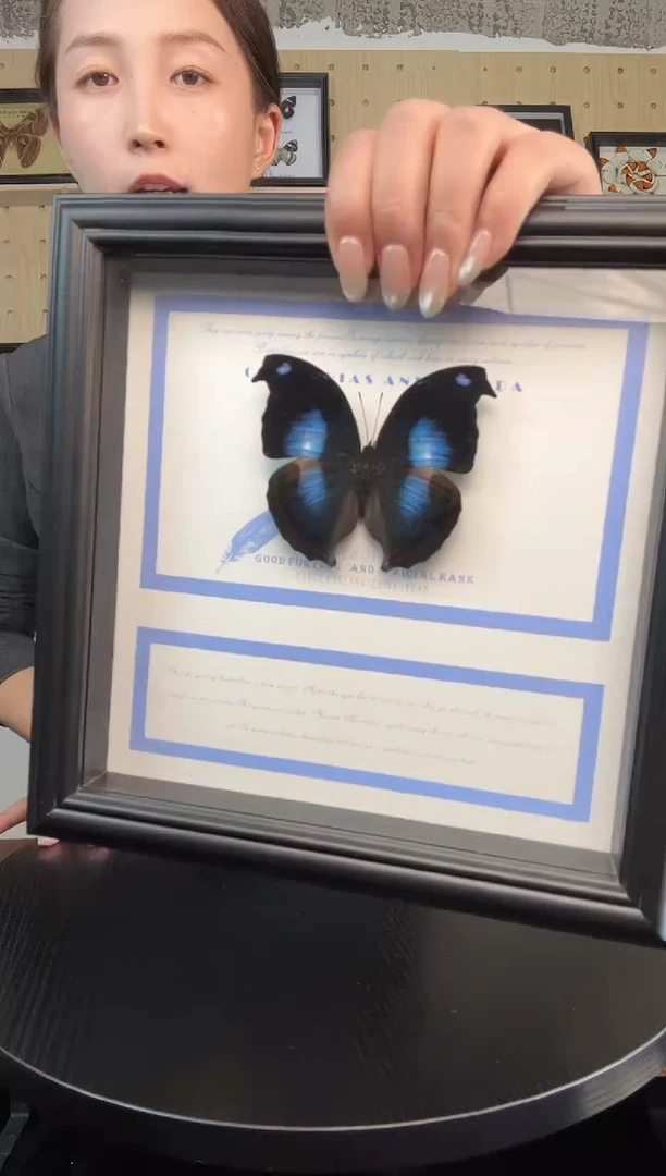 爱情鸟蛱蝶（蝴蝶装饰画A4框）