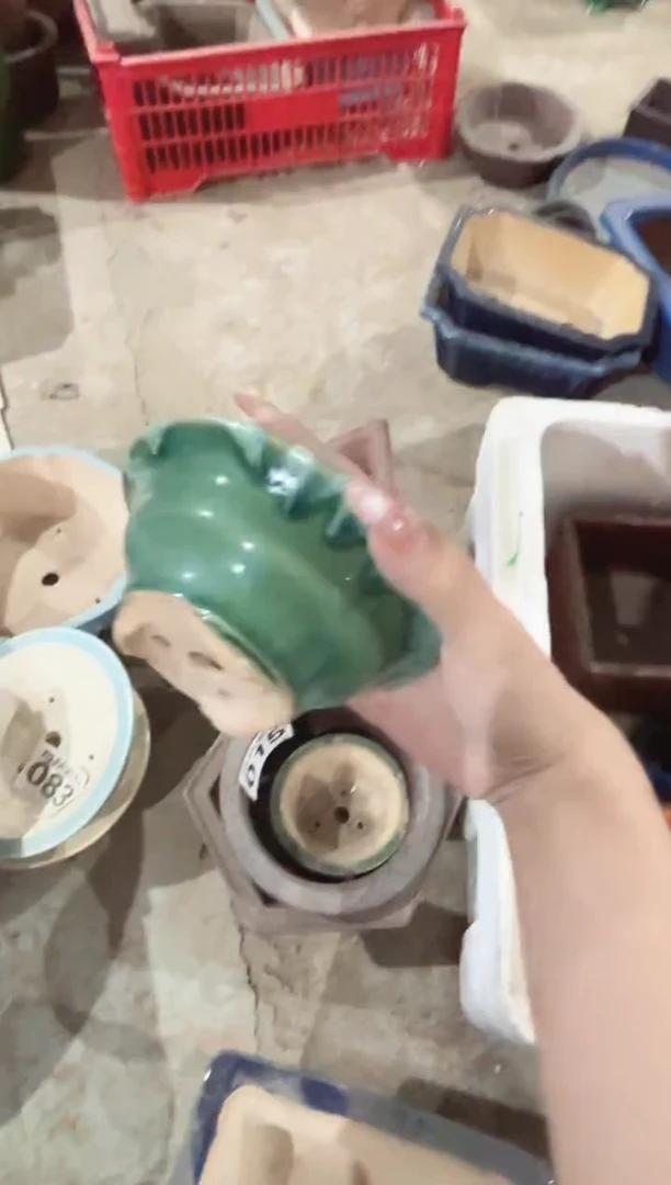 紫砂花盆浅草紫砂花盆微瑕