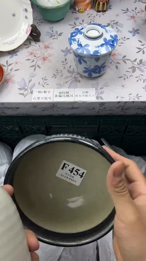 瓷片          F454