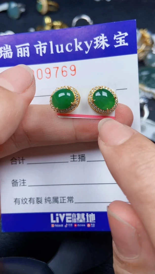 【闪购商品】翡翠颈饰银S925镶嵌9769
