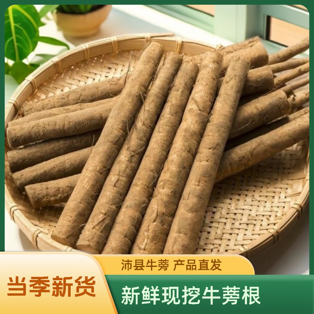 沛县牛蒡鲜牛蒡当季新货徐州牛蒡农场现挖新鲜黄皮牛蒡根5斤装