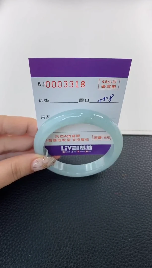 未镶嵌手镯翡翠天然A货翡翠