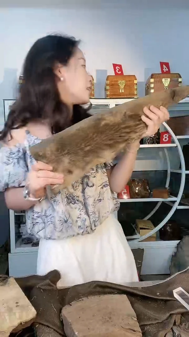 一**草金丝楠木原料木材