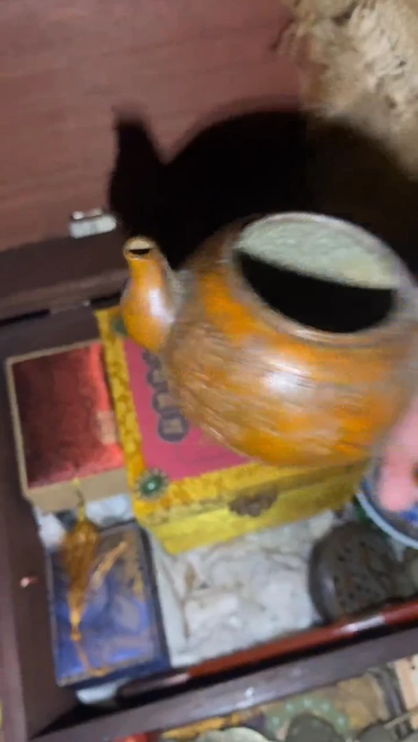 【闪购商品】木暮素优选一铜壶一一福利