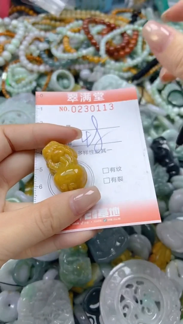 颈饰未镶嵌翡翠闪购0230113