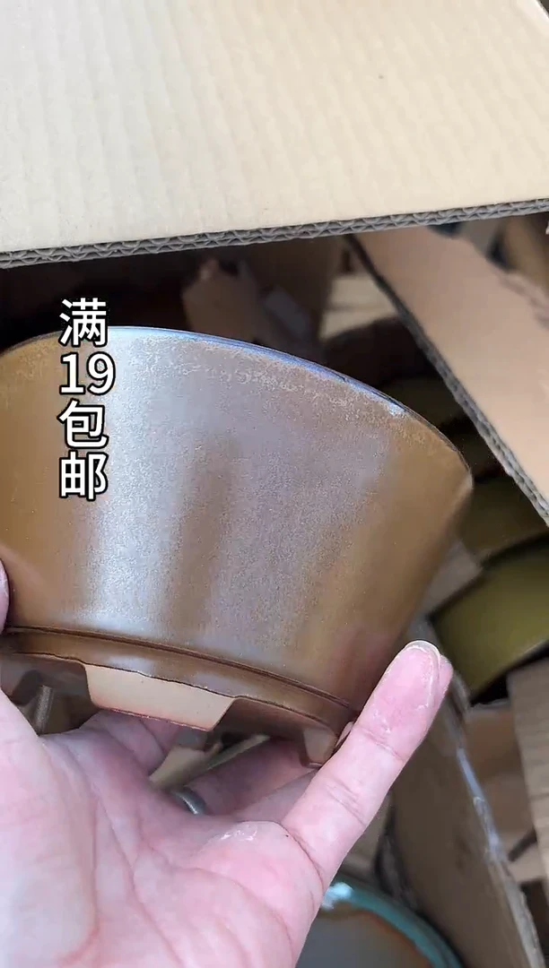 55号棕色微瑕一个