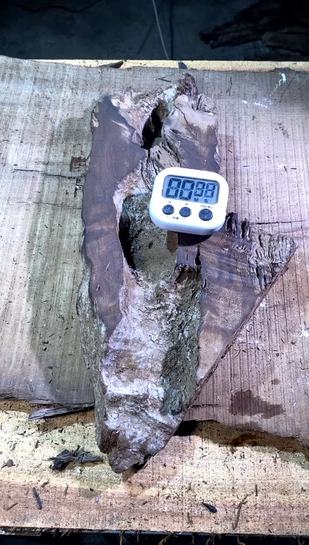 只**涯金丝楠木小叶桢楠