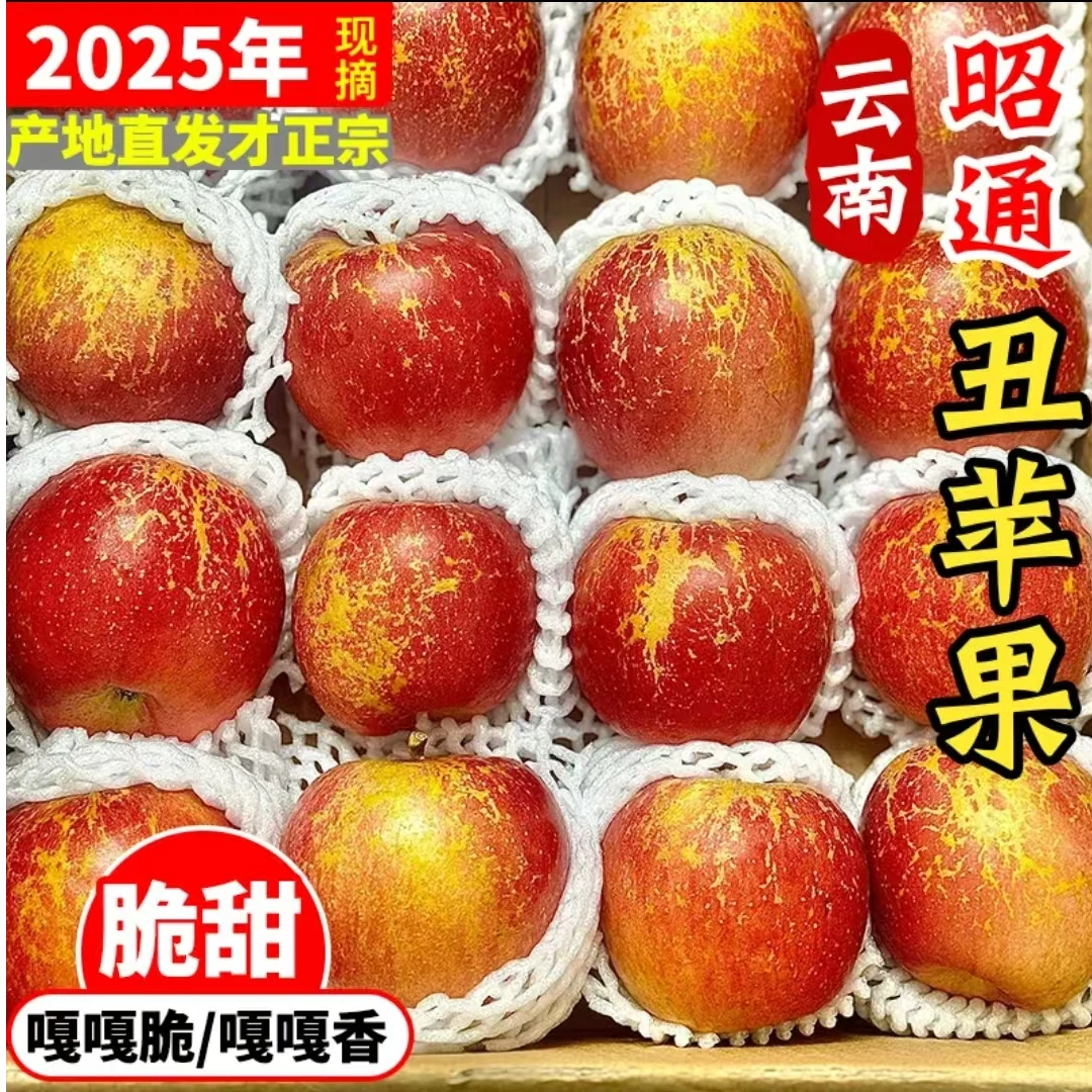2025年云南昭通高原丑苹果当季水果脆甜现摘苹果