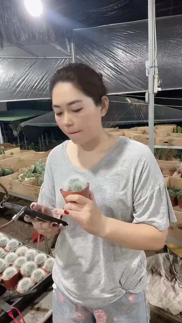 满十八元包邮【无刺丽光殿】