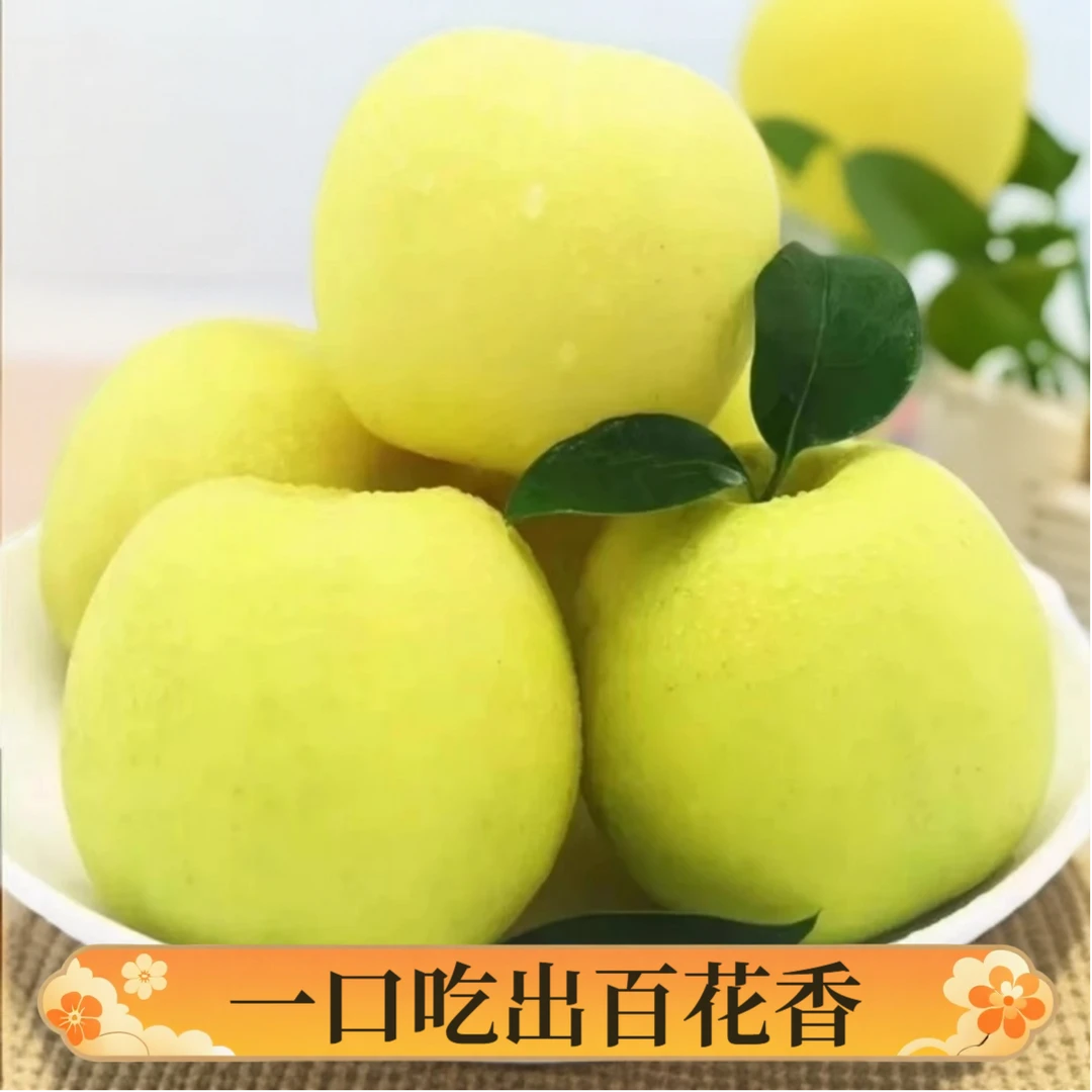 【产地直发】陕西淳化瑞雪苹果新鲜采摘高原品质满口百花香
