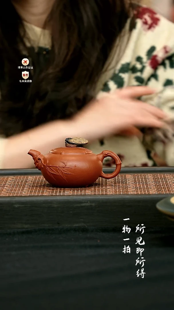 茶壶紫砂蝉栖竹梦 一物见春