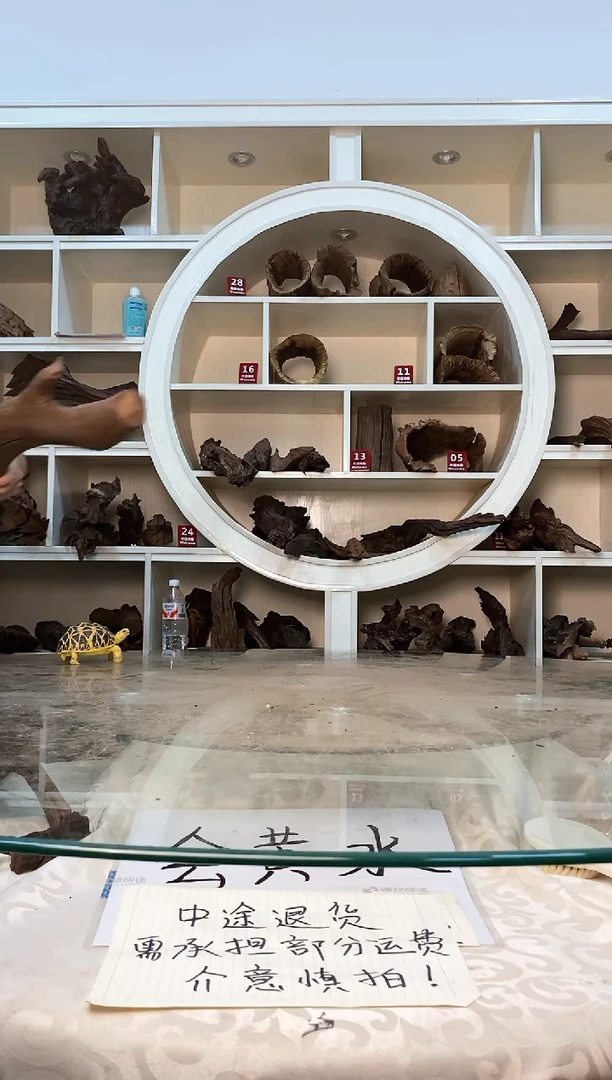 柚木鱼缸造景素材木251