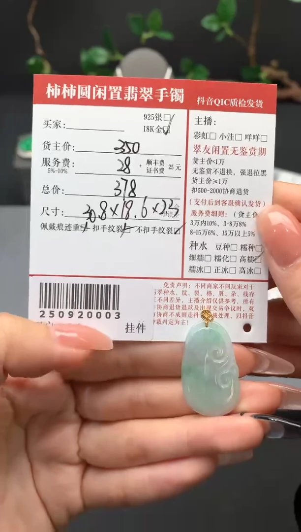 颈饰18K金镶嵌翡翠姐姐250920003
