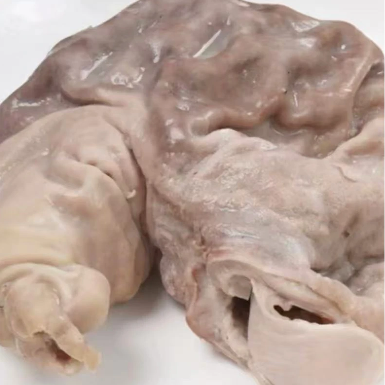 潮汕胡椒猪肚约500g/个新鲜熟食猪肚加热即食煲汤爆炒食材