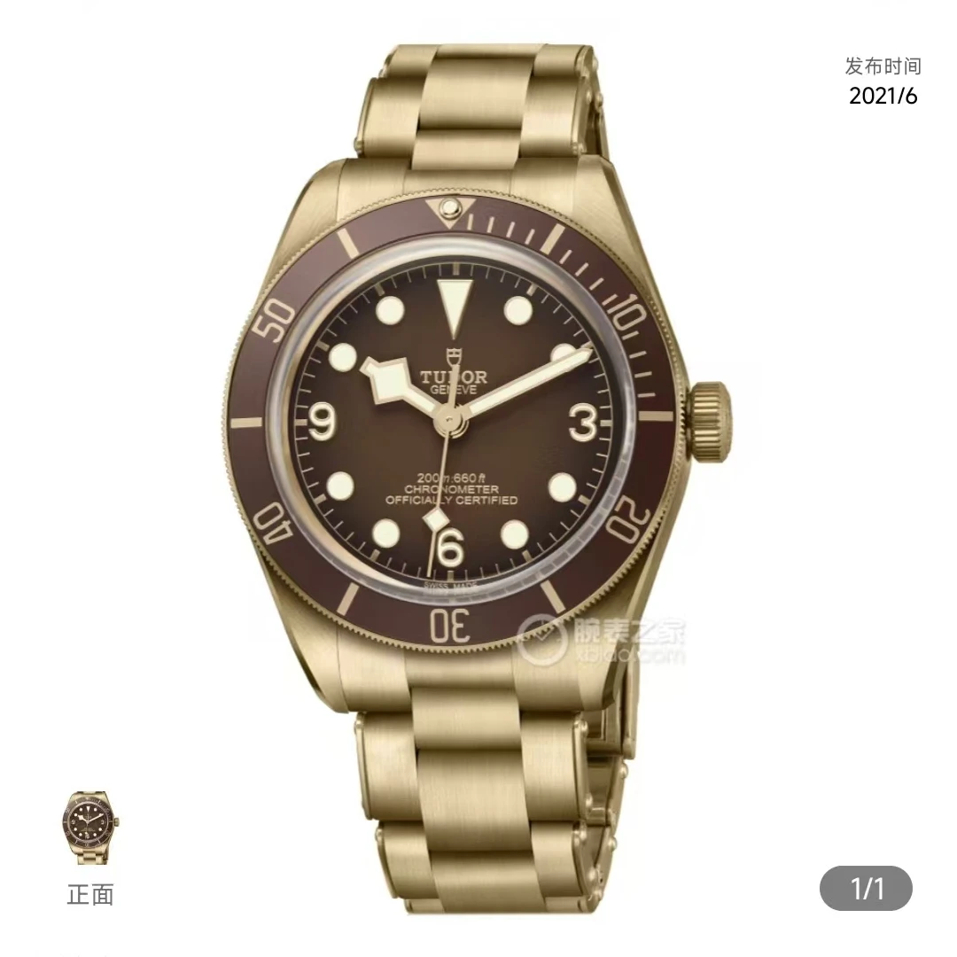 99新 TUDOR/帝舵 碧湾/39mm/男表/M79012M-0001/机械/青铜色/全套