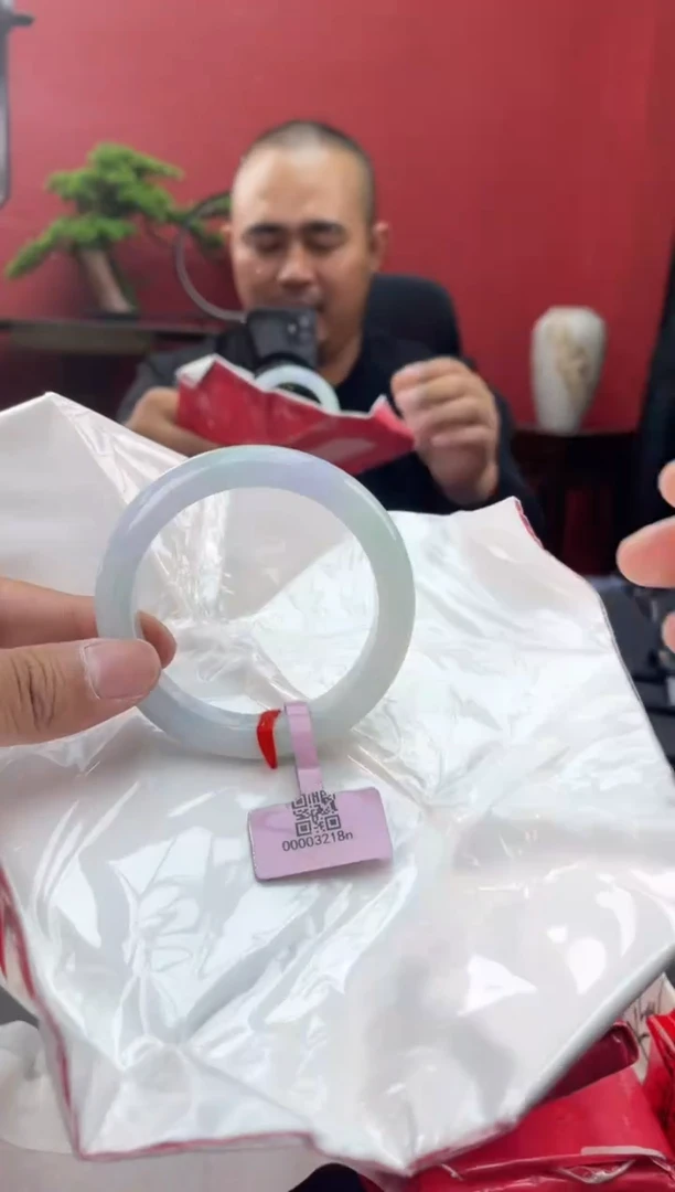 未镶嵌手镯翡翠9
