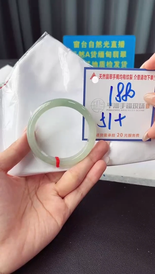 未镶嵌手镯翡翠11111