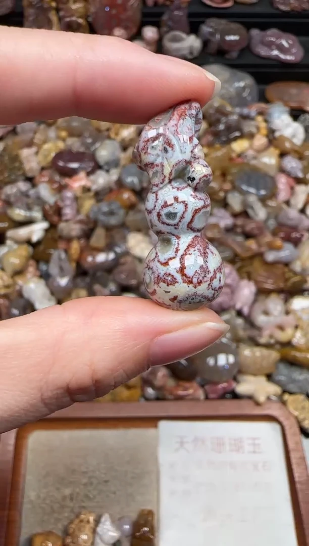 颈饰未镶嵌硅化珊瑚（珊瑚玉）803
