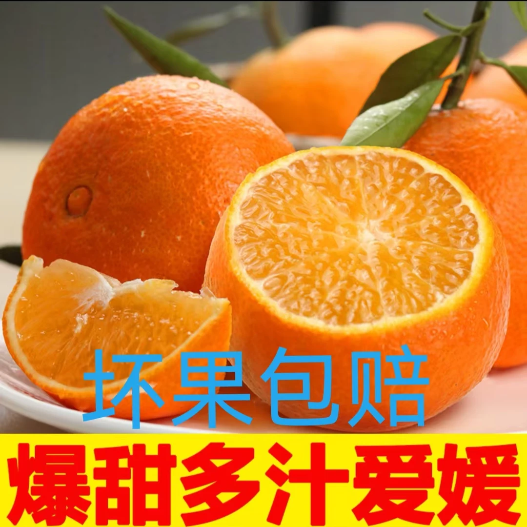FD正宗四川爱媛38号果冻橙当季鲜果现摘现发