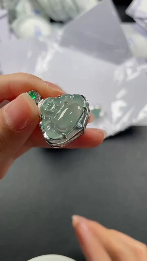 翡翠未镶嵌颈饰12（多样性发一件）