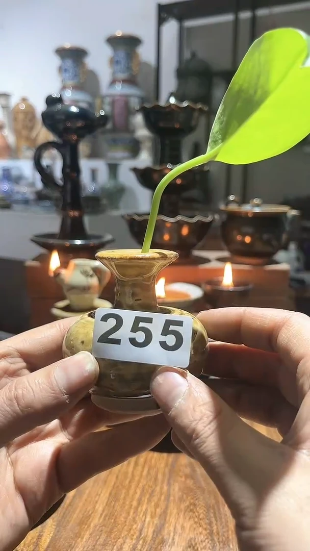 【闪购商品】摆件