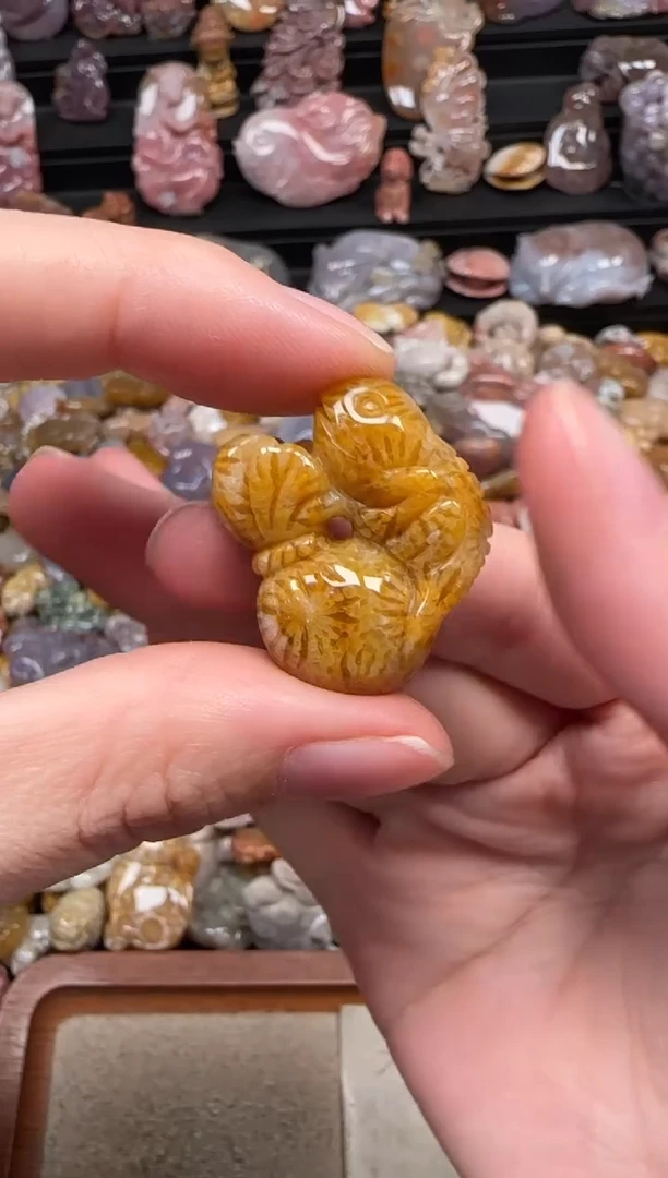颈饰未镶嵌硅化珊瑚（珊瑚玉）391