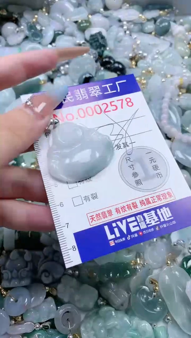 翡翠未镶嵌吊坠(不含链)2578