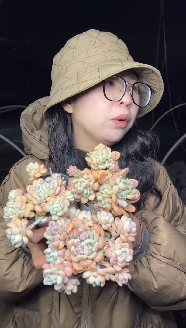 【闪购商品】29-桃酥3颗4.88