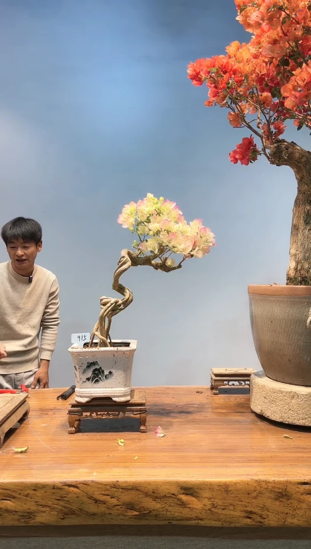 【闪购商品】AA915