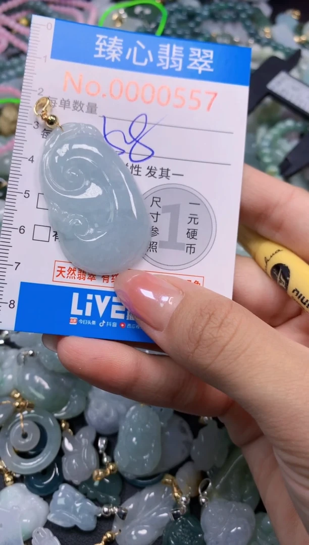 颈饰未镶嵌翡翠557