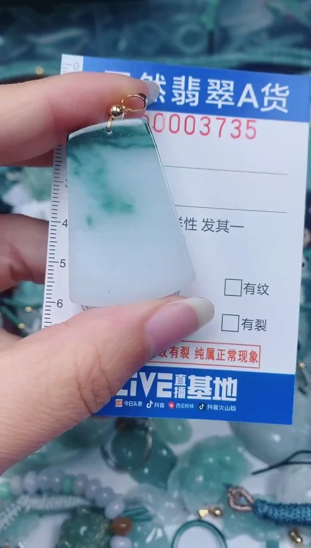 颈饰未镶嵌翡翠00003735