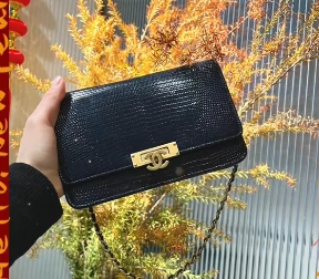 Chanel/香奈儿 斜挎包 蜥蜴黑金woc wy6038/2509