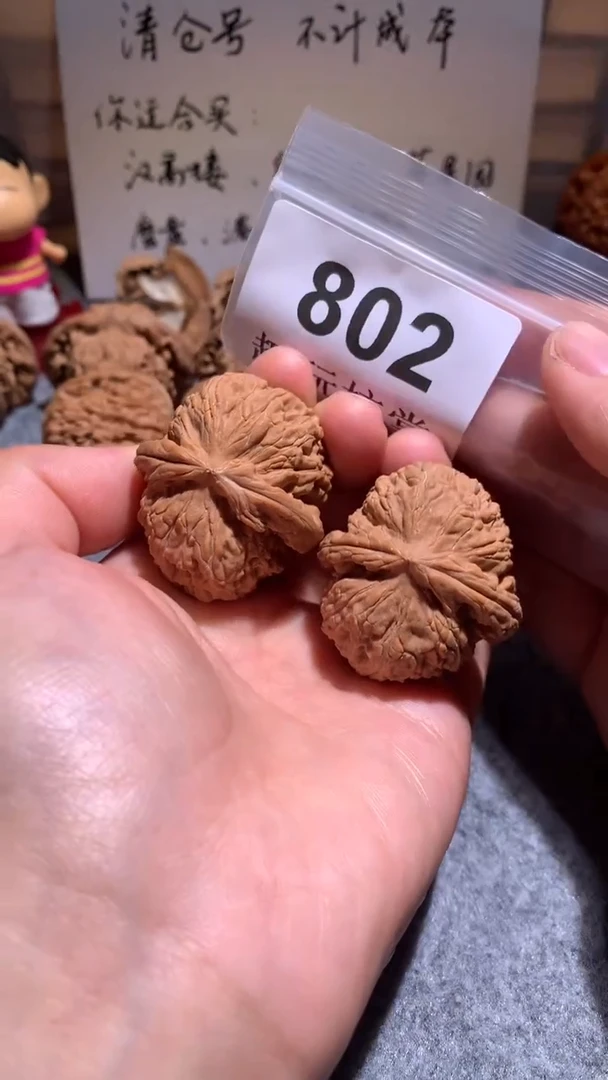 文玩核桃把件【趣玩核堂】802 号，白狮子 37左右